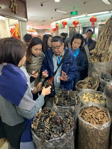 Field visit to the biggest Chinese medicines market in Guangdong, Qingping Chinese medicines market for understanding Guangdong common used CM specification